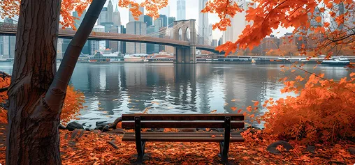 banco em frente ao lago